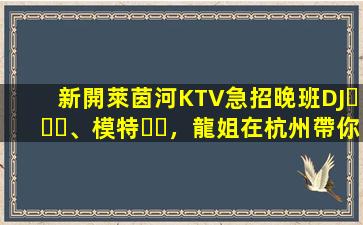 新開萊茵河KTV急招晚班DJ、模特，龍姐在杭州帶你上班